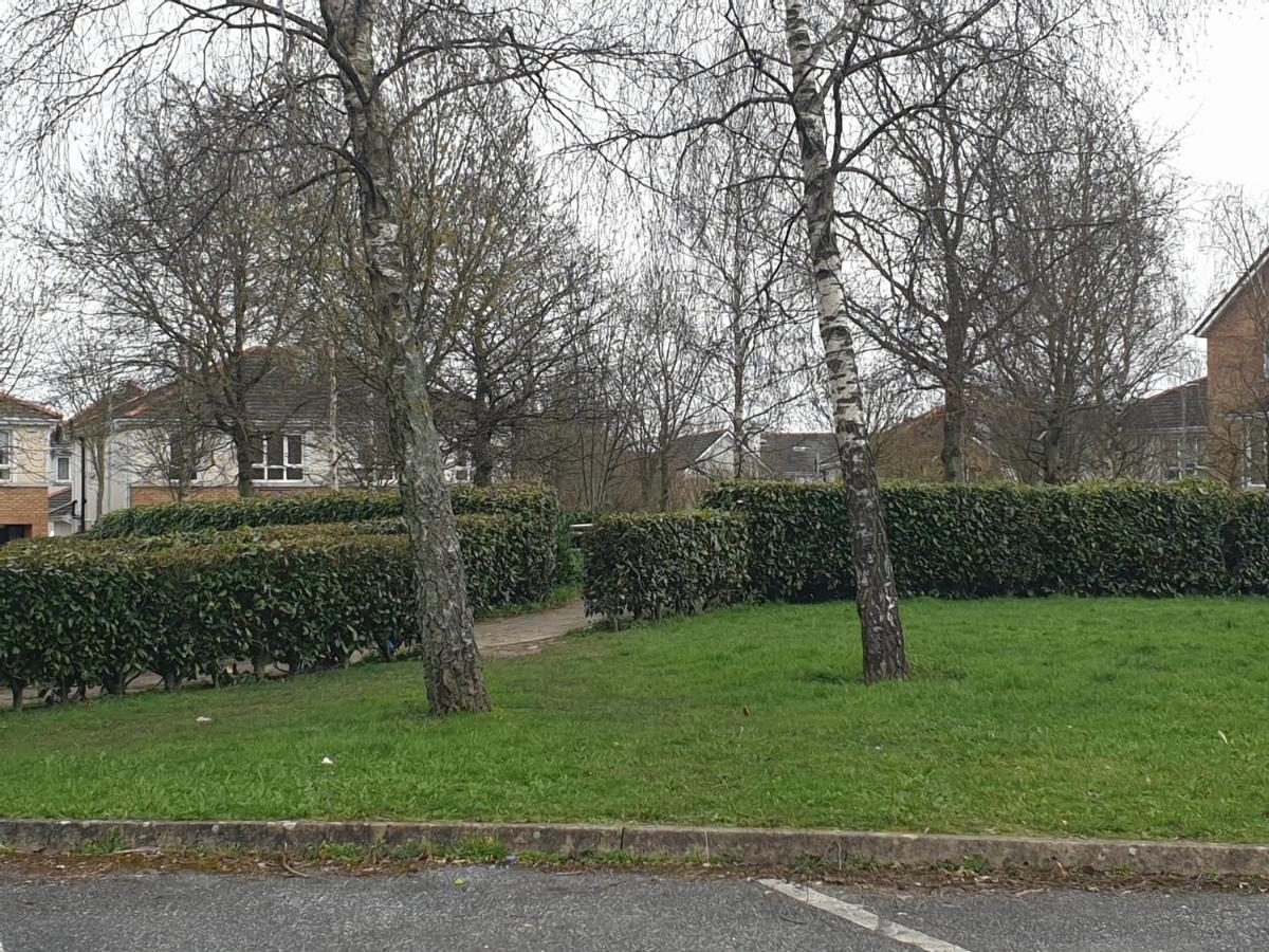 Kilkenny City Apartment Εξωτερικό φωτογραφία